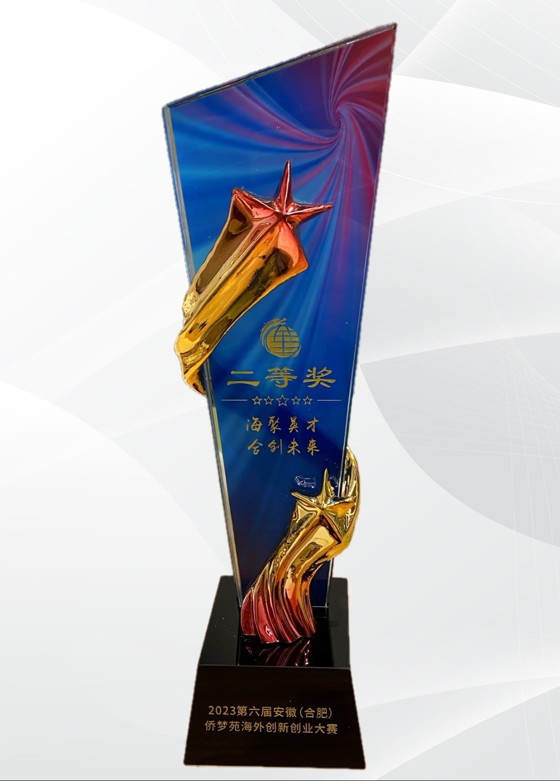 Image of the award The 6th Anhui (Hefei) Qiaomengyuan Overseas Innovation and Entrepreneurship Competition